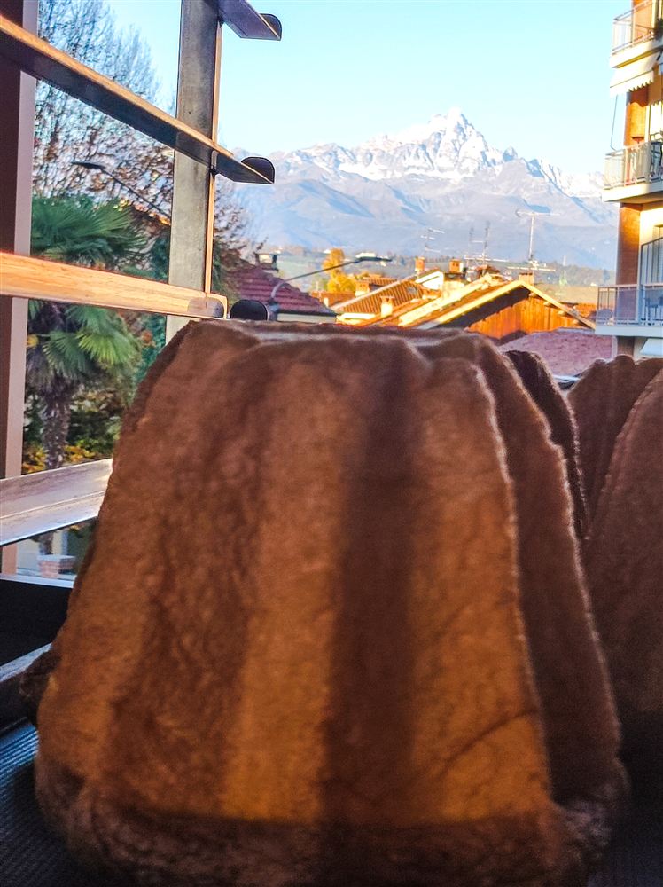 Panettone artigianale della Bottega Gullino con le montagne di Lagnasco sullo sfondo